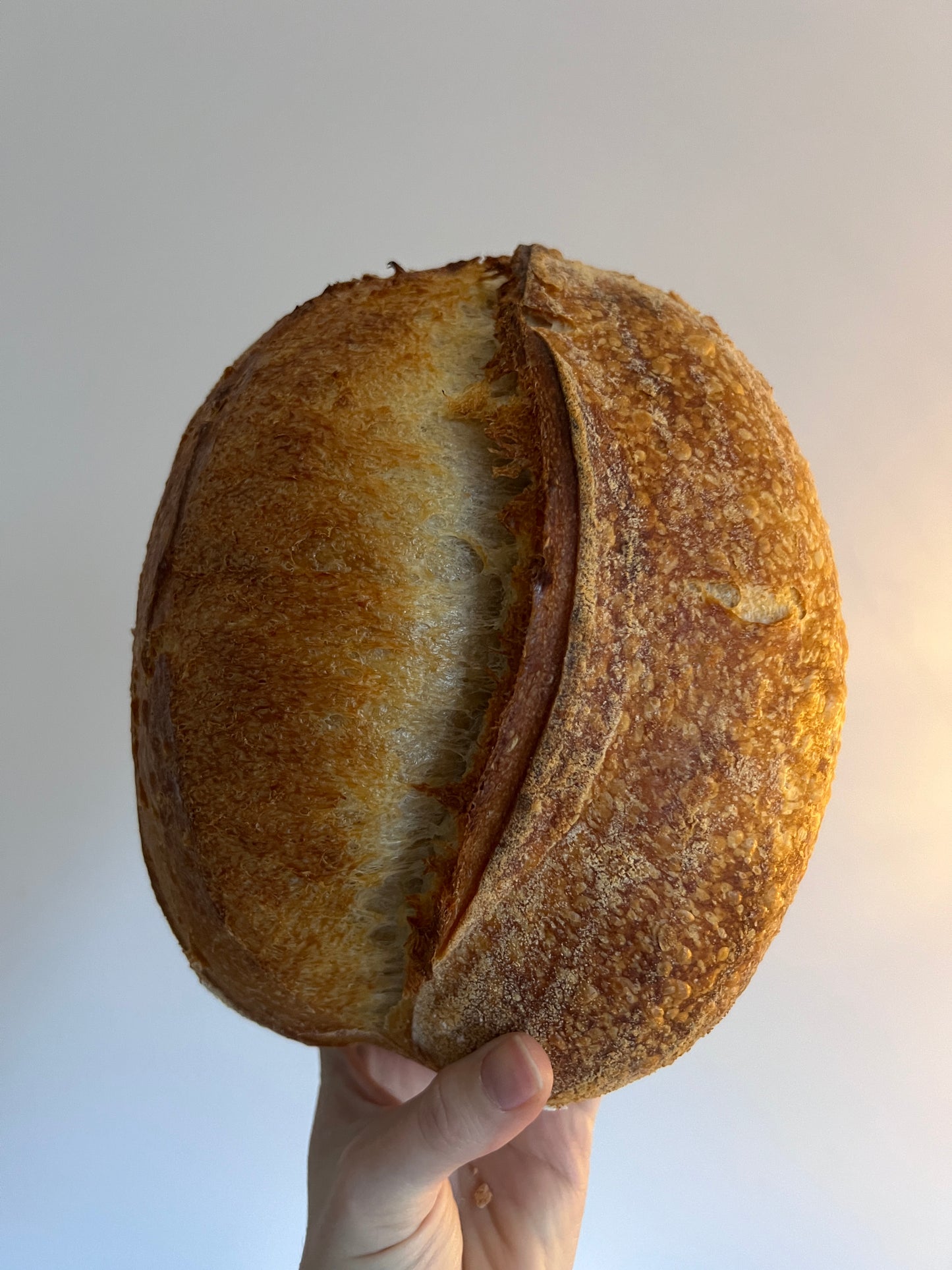 Classic Artisan Loaf (VG)